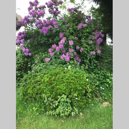 Lovely 3 Bed House Close To Carlyon Bay Beach! المظهر الخارجي الصورة